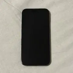 Apple iPhone15Pro ブラックチタニウム 256GB 動作OK