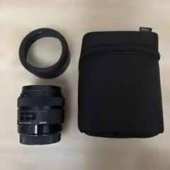 Item thumbnail for item 753803c8-20de-4631-832d-40d8b5d69f08