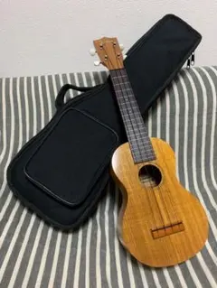 2025年最新】ウクレレ本体の人気アイテム - メルカリ
