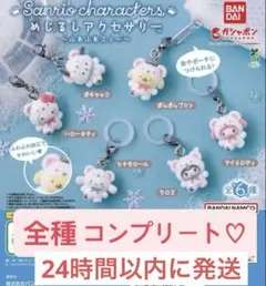 最終値下げ　Sanrio めじるしアクセサリー　ふわふわスノー　セット