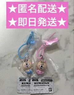 【本日発送⭕️】KUMATANカラフルマルチチャーム2点セット！