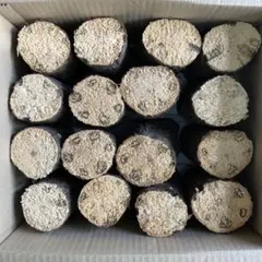 川口商会 最高級ブランド三草混合飼育産卵木SA品NO51 - メルカリ