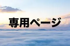 専用ページ