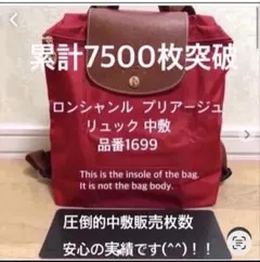 ロンシャン ル プリアージュ リュック 品番1699 中敷 底板