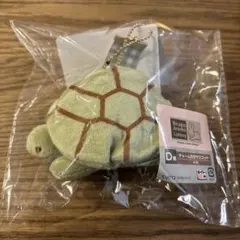 Bruna Animal Lattery かめ