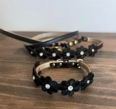 Item thumbnail for item 54e7d737-f26e-44e5-8c0f-96a7a3c486de