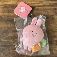 ナガノキャラクターズ FRIENDS マスコット