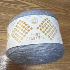 毛糸＊ユザワヤ＊シャイニーグラデーション＊8番ロットB＊1玉＊手編み＊ニット