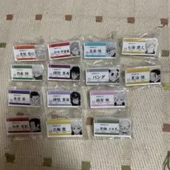 呪術廻戦 名札アクリルバッチコレクション 14点セット
