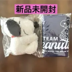 オトナミューズ　雑誌付録 スヌーピー エコバッグ＆ぬいぐるみチャームセット