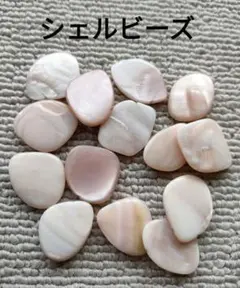 シェルビーズ 13個