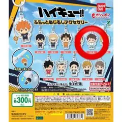 ハイキュー!! ふらっとめじるしアクセサリー