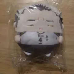 ハイキュー くじメイト C賞 ふわコロりん Msize　木兎光太郎