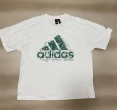 グリーン Tシャツ