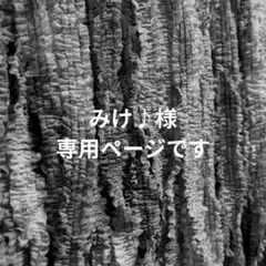 〚 みけ♪様専用ページ 〛