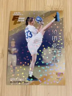 Item thumbnail for item 248fb8c1-9952-4092-b397-4e50448f0ecb