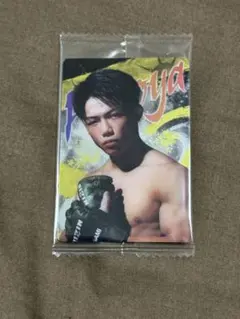 RIZINウエハース24 No.25ヒロヤ