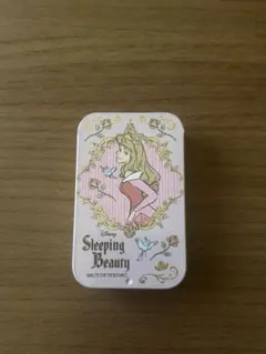 【新品未使用】ディズニープリンセス すらいどきゃん オーロラ姫