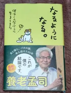 なるようになる。 : 僕はこんなふうに生きてきた