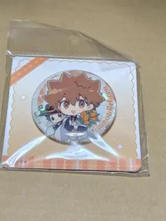 家庭教師ヒットマンREBORN!　リボーン　中国限定　缶バッジ　沢田綱吉　ツナ