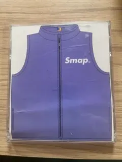 2026年最新】smap vestの人気アイテム - メルカリ