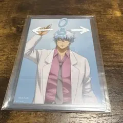 坂田銀時 3年Z組 銀八先生 ケース付きブロマイド