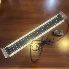 2026年最新】volxjapanの人気アイテム - メルカリ