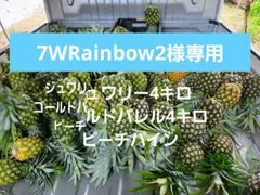 宮古島産 農薬・化学肥料不使用ピーチパイン10kg - メルカリ