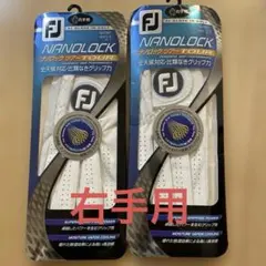 Item thumbnail for item e830aaf1-e8d8-45e3-8df0-f76260f7cace