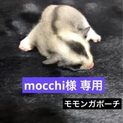 mocchi様 リクエスト 2点 まとめ商品