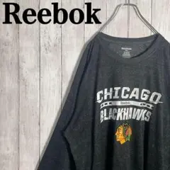 【激レア】リーボック　ビックロゴ　ビックプリント　ロンT オーバーサイズ　古着