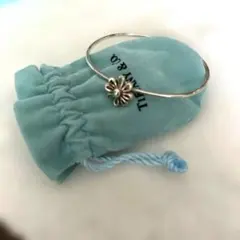 2026年最新】TIFFANYバングルの人気アイテム - メルカリ