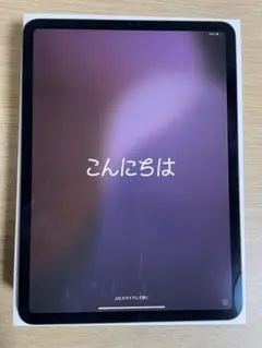 iPadPro11インチ 第1世代256GB