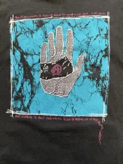 Anarchic Adjustment tシャツ　80年代 ヴィンテージのサムネイル