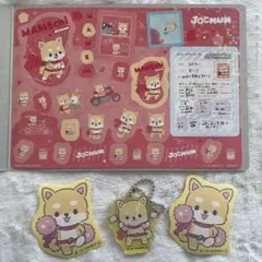 JOCHUM まめちぃ　まとめ