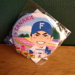 北海道日本ハムファイターズ 田中正義選手 缶バッチ