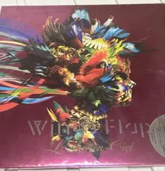 Wings Flap【完全受注生産限定盤】Blu-ray