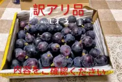 本日収穫・発送ピオーネ粒1kg(訳アリ品)②のサムネイル
