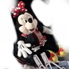 東京ディズニーリゾート ミニーマウス ぬいぐるみ
