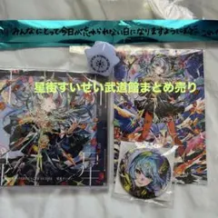 2026年最新】星街すいせい 武道館の人気アイテム - メルカリ