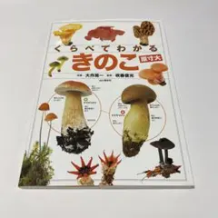 ラスカル様 リクエスト 2点 まとめ商品