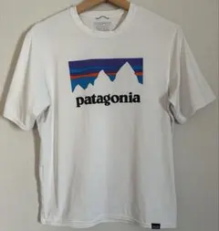 パタゴニア　キャプリーンクールデイリーグラフィック　 Tシャツ