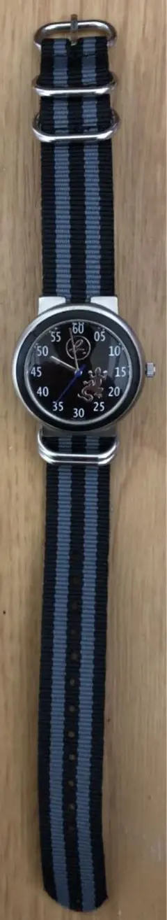 美品♪アニエスベーソーラー腕時計★agnes b.レザール トカゲ agnes b. - agnes b アニエス ベー rezard レザール トカゲ