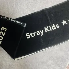 Stray Kids 5-STAR Dome Tour 2023 タオル