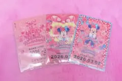 リゾートライン リゾラ フリーきっぷ 3/2 ミニー セット ファンダーランド