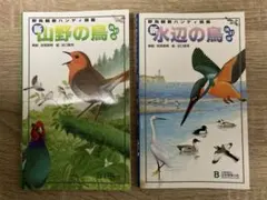 Item thumbnail for item 415650a3-152c-4b49-864c-6d9efe451c27