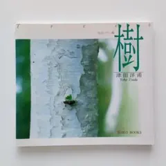 Item thumbnail for item c70c8225-c524-45b4-9ef1-b71b08fc2e46