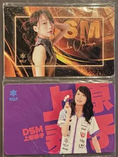 池*上様 阿嘉紗香　ダーツライブカード　非売品 池*上様 阿嘉紗香 ダーツライブカード 非売品 - メルカリ