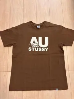 Stussy Tシャツ オーストラリア ステューシー M ヴィンテージ 銀タグ