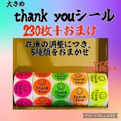 即購入ok 大きめ　thank youシール　230枚＋おまけ